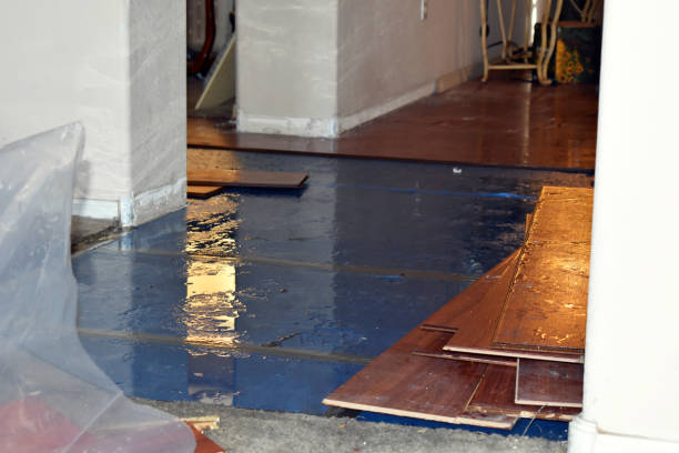 Professional Basement Flood Cleanup technician working in Bells, TN